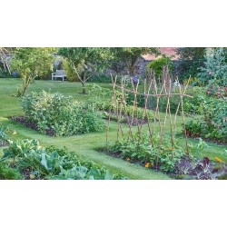 engrais potager liquide bio